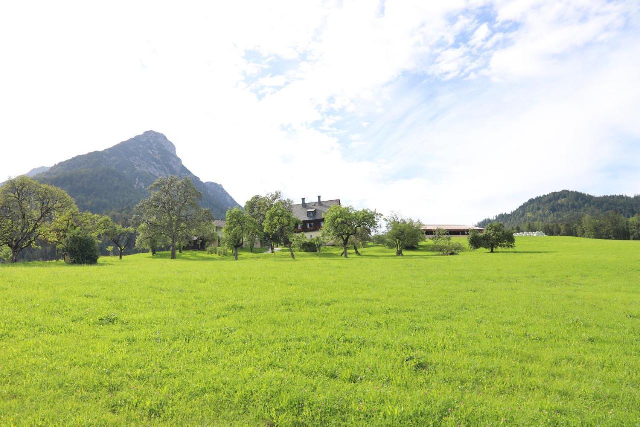 Stapflhof Apartment Bad Aussee Ngoại thất bức ảnh